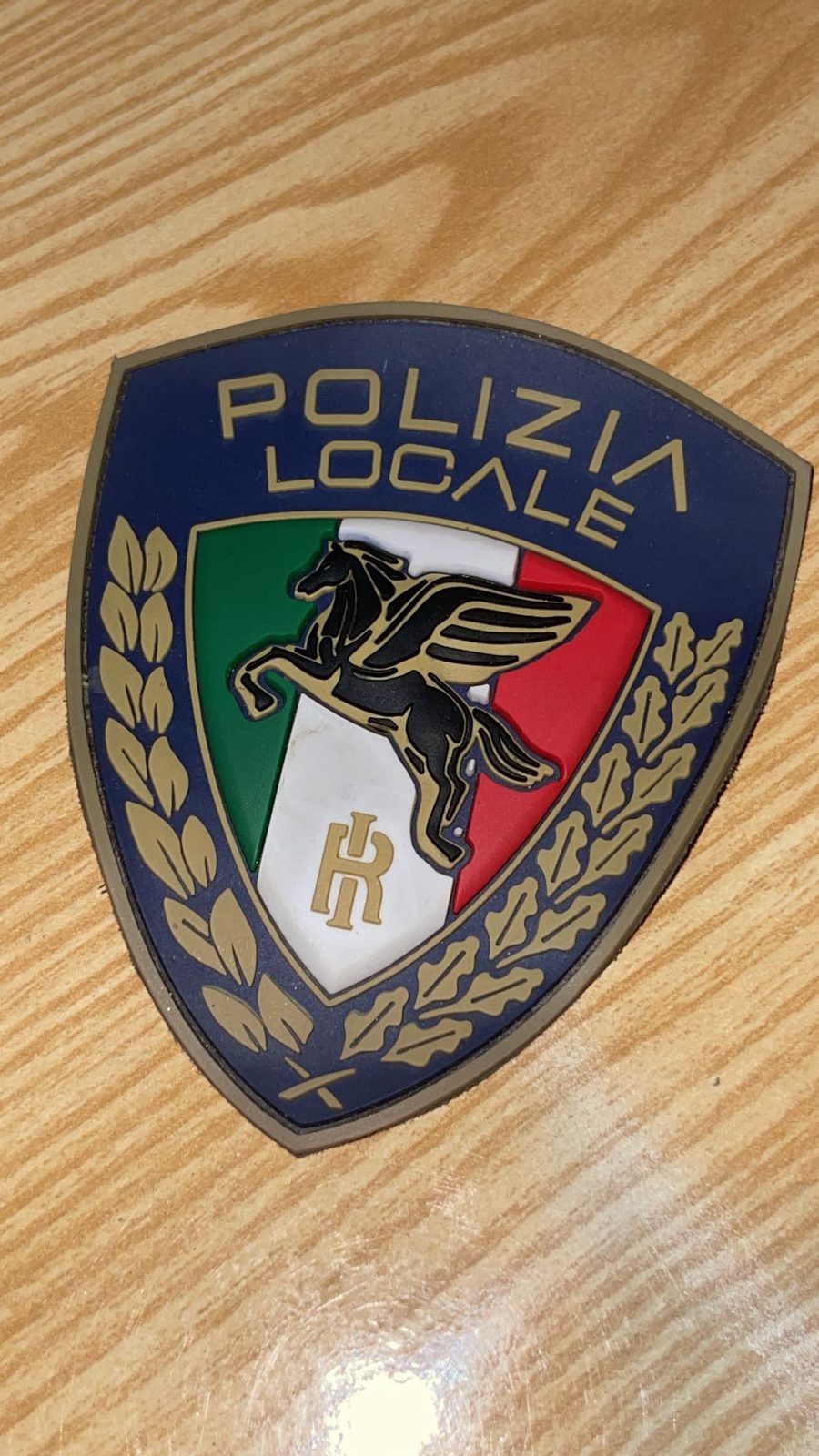 Shield-shaped PVC patch with a crest design